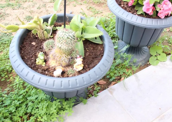 Karya Is 50 Meters From The Appartement *