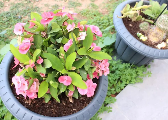 Appartement Karya Is 50 Meters From The Bodrum